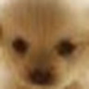 Meet your Posher, Thomas